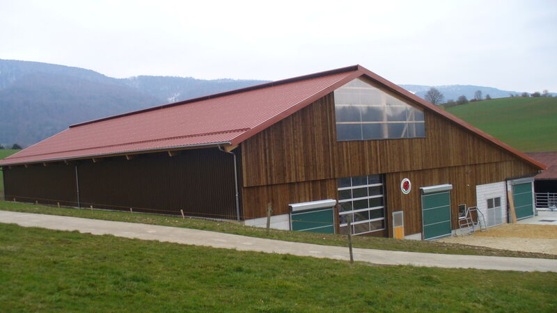 STABULATION POUR VACHES LAITIERES